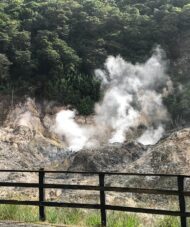 St. Lucia Sightseeing Tour