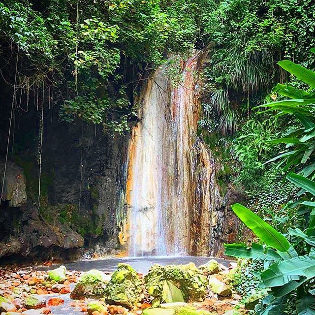 Beautiful Botanical Gardens St. Lucia